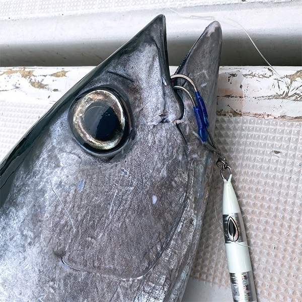 オーシャンワークス　アシストリーダーSMP